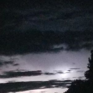 Meet your Posher, Phillip